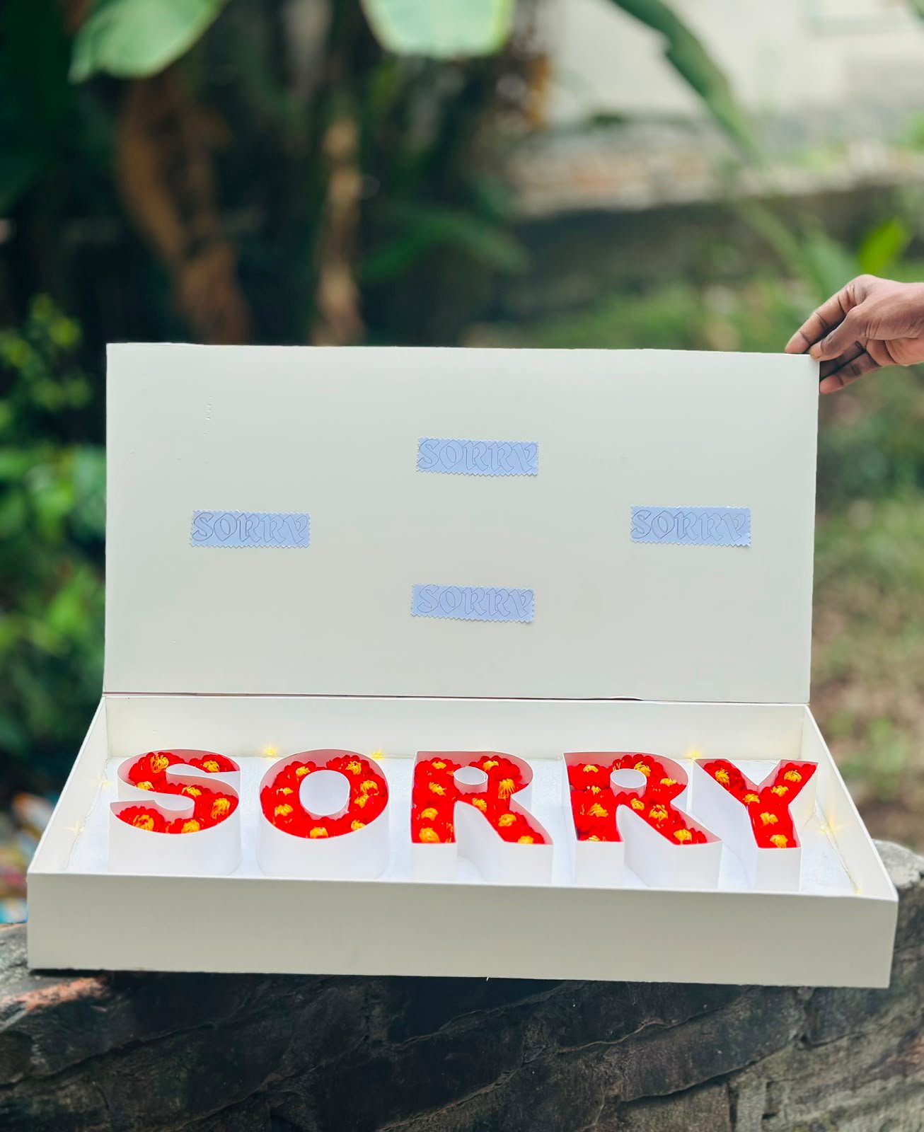 Sorry  Letter Box