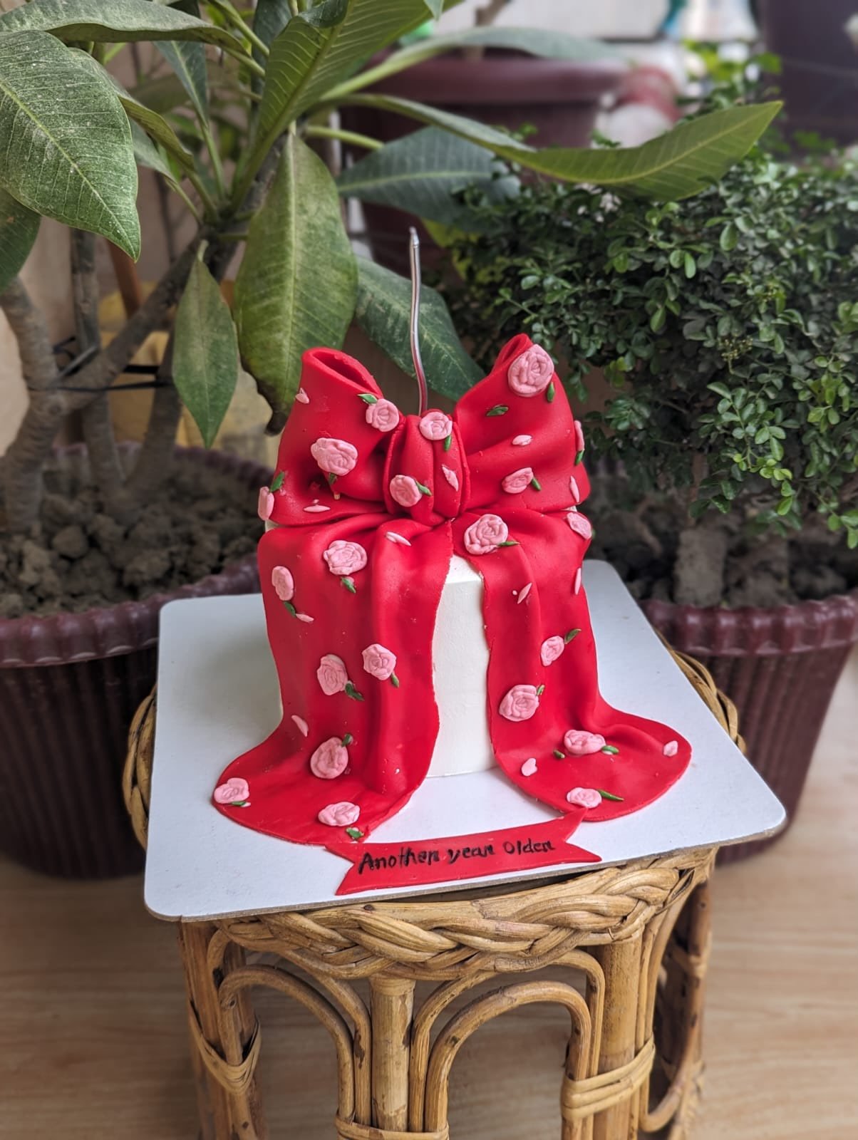 Elegant Bow Cake