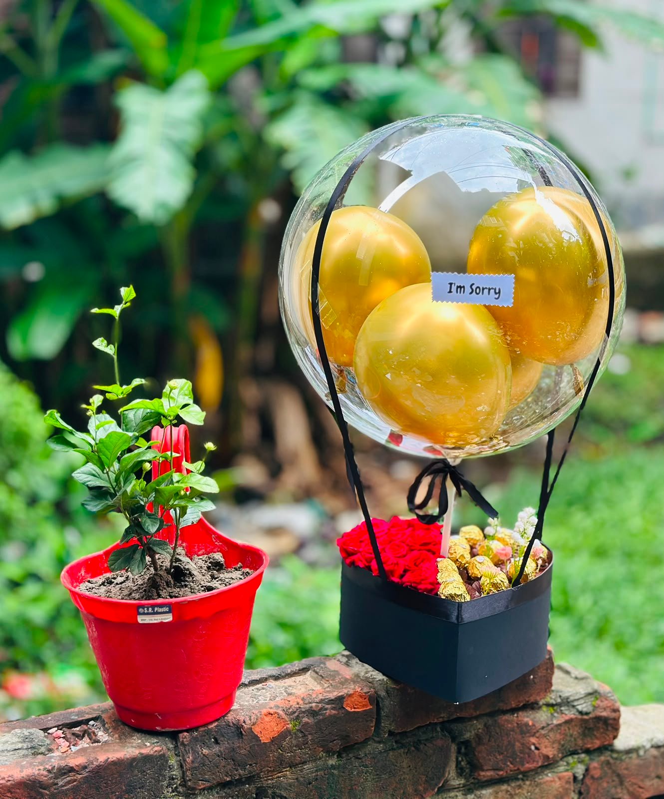 Sorry Plant & Balloon Hamper